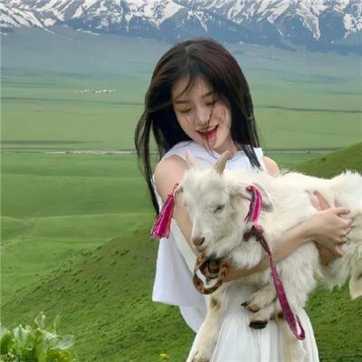 鲭鱼罐头
